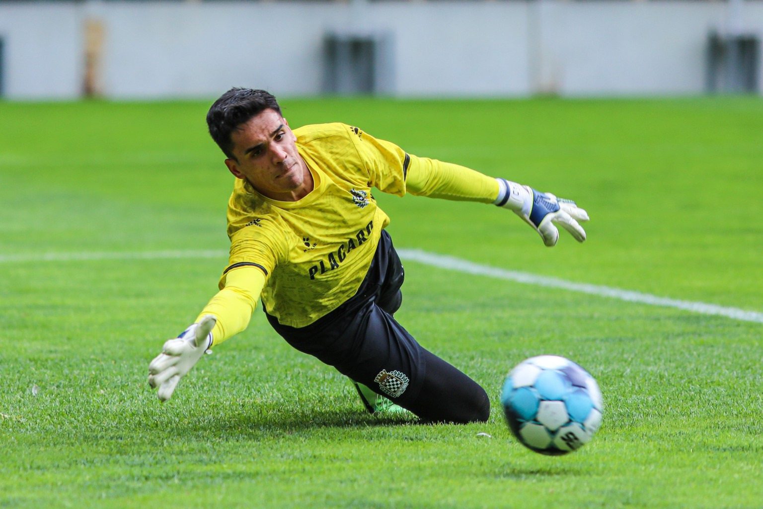 JOAO GONÇALVES